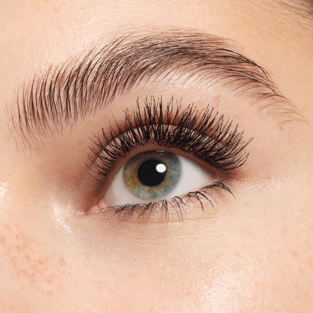 LASHES TO IMPRESS - Image 2