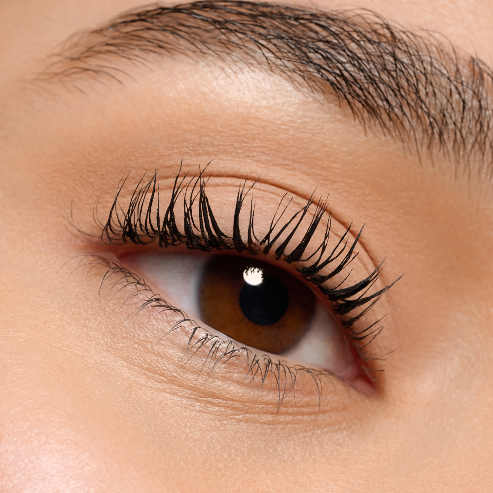 mono eyeshadow matte - Image 4