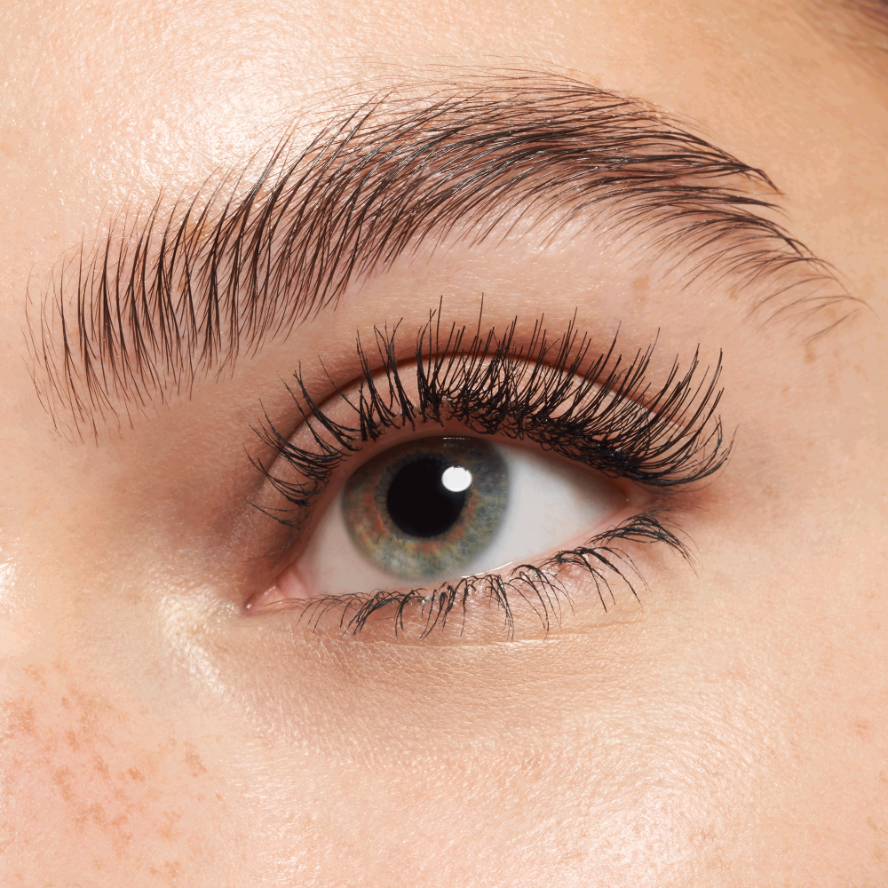LASHES TO IMPRESS - Image 9